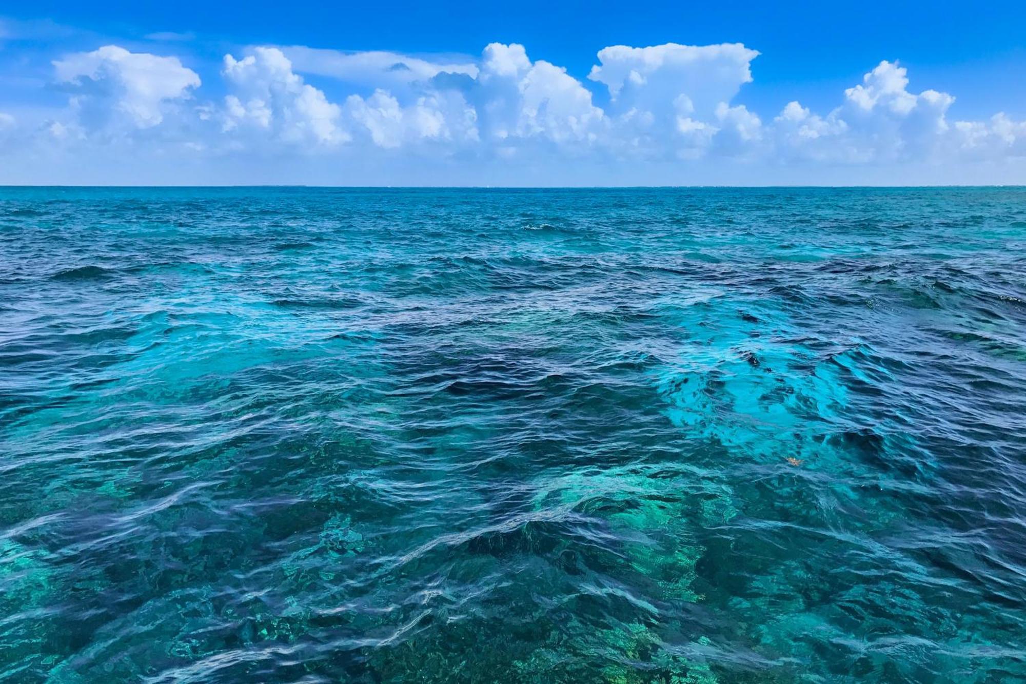 Sunrise Suites Barbados Suite #204 Key West Ngoại thất bức ảnh